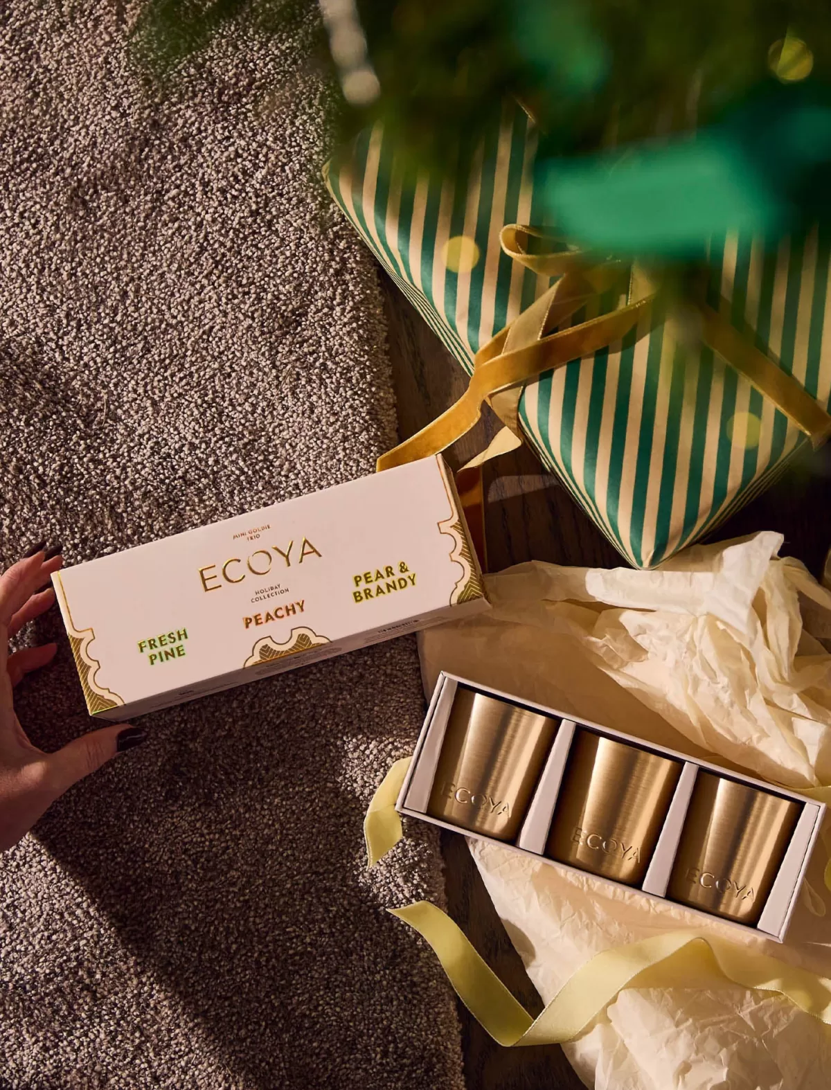 ecoya_mini_goldie_trio__fresh_pine_pear__brandy_peachy_3.webp Papinelle Ecoya Mini Goldie Trio - Fresh Pine, Pear & Brandy, Peachy