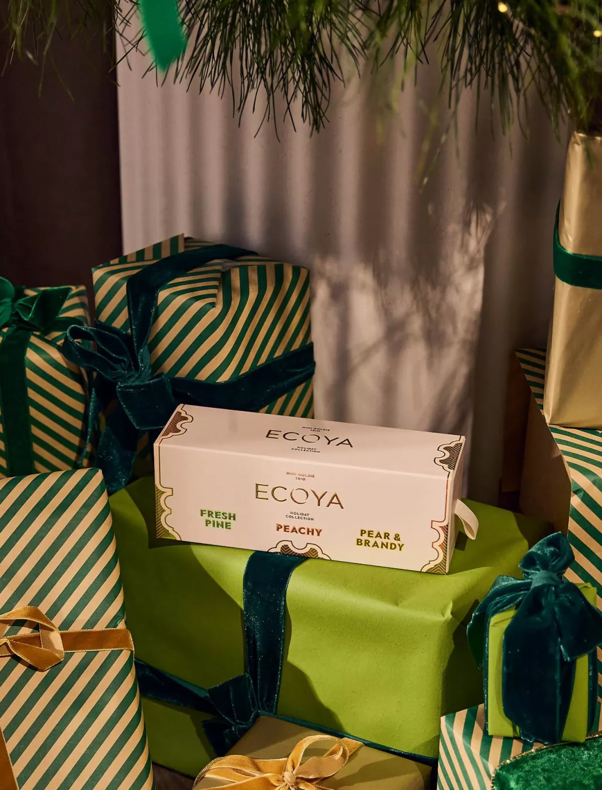 ecoya_mini_goldie_trio__fresh_pine_pear__brandy_peachy_4.webp Papinelle Ecoya Mini Goldie Trio - Fresh Pine, Pear & Brandy, Peachy