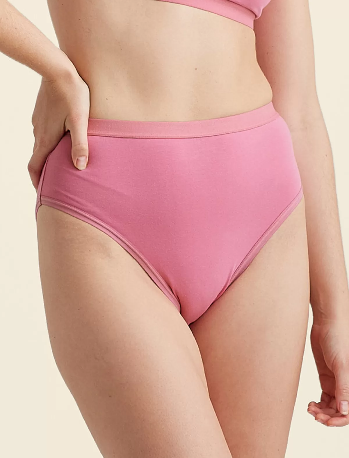 Papinelle Emily High-Rise Full Brief